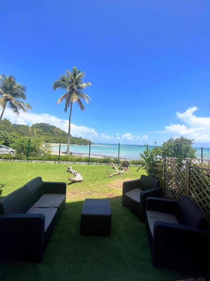 Studio Vue Mer Village Viva Bas Du Fort, Gosier Le Gosier  Eksteriør billede